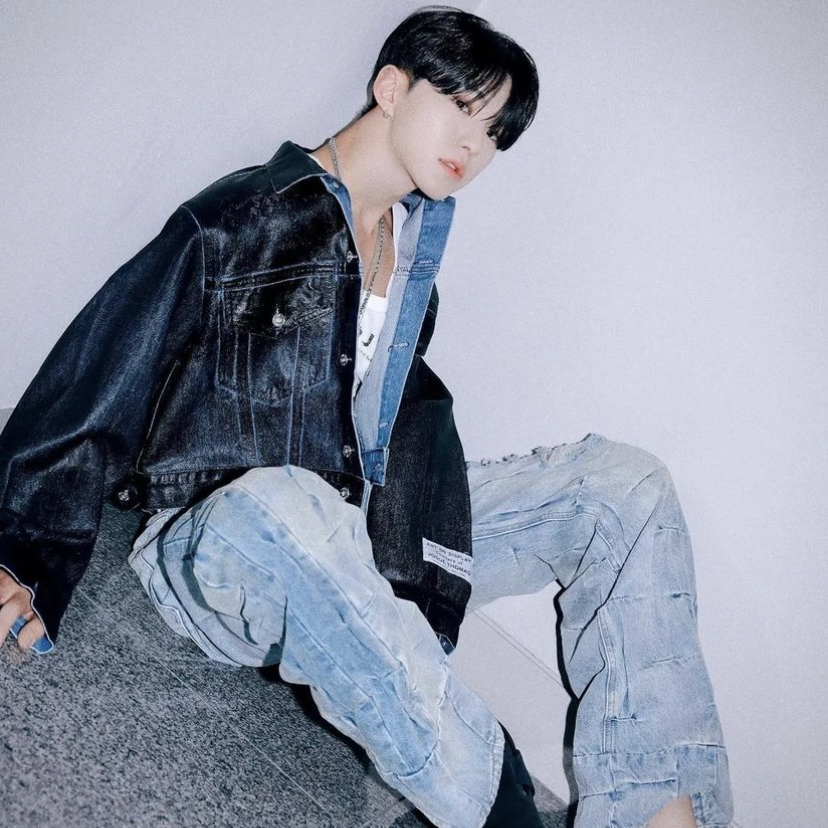 ホシ (SEVENTEEN)ファンが撮った瞬間