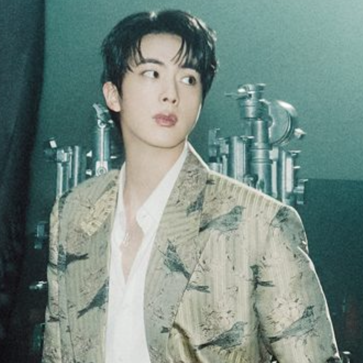 진 (방탄소년단) 팬이 찍은 순간