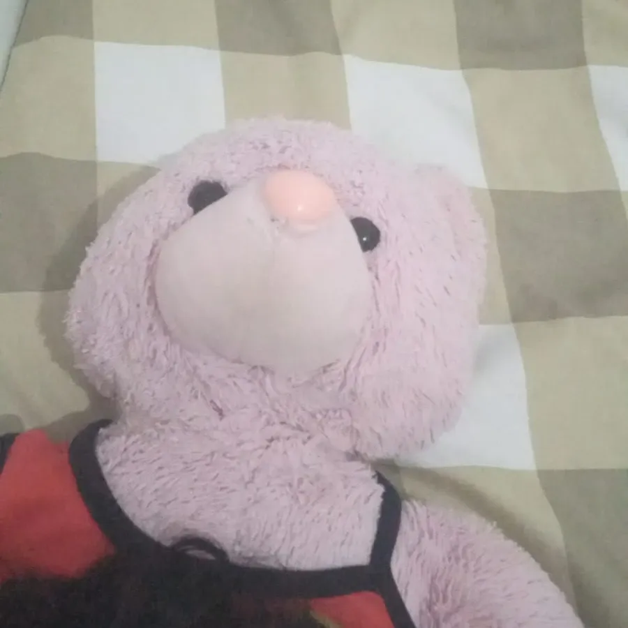 EXO의 최신 사진