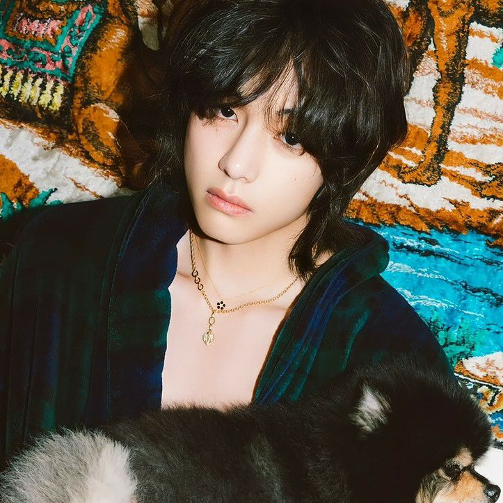 Behind-the-scenes cut of V (BTS)