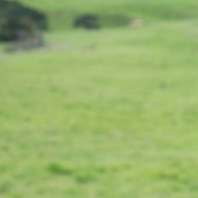 华莎 (MAMAMOO)粉丝拍下的瞬间