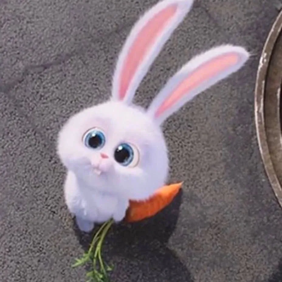 Xdinary Heroes的最新照片