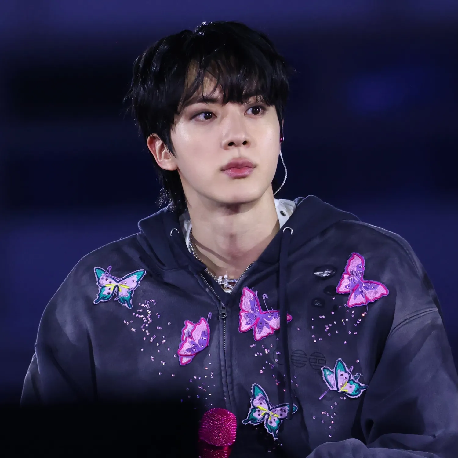 Momen yang diabadikan oleh penggemar Jin (BTS)