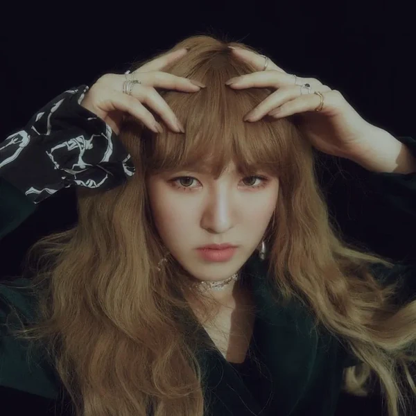 由粉丝团选择的Wendy (Red Velvet)最佳时刻