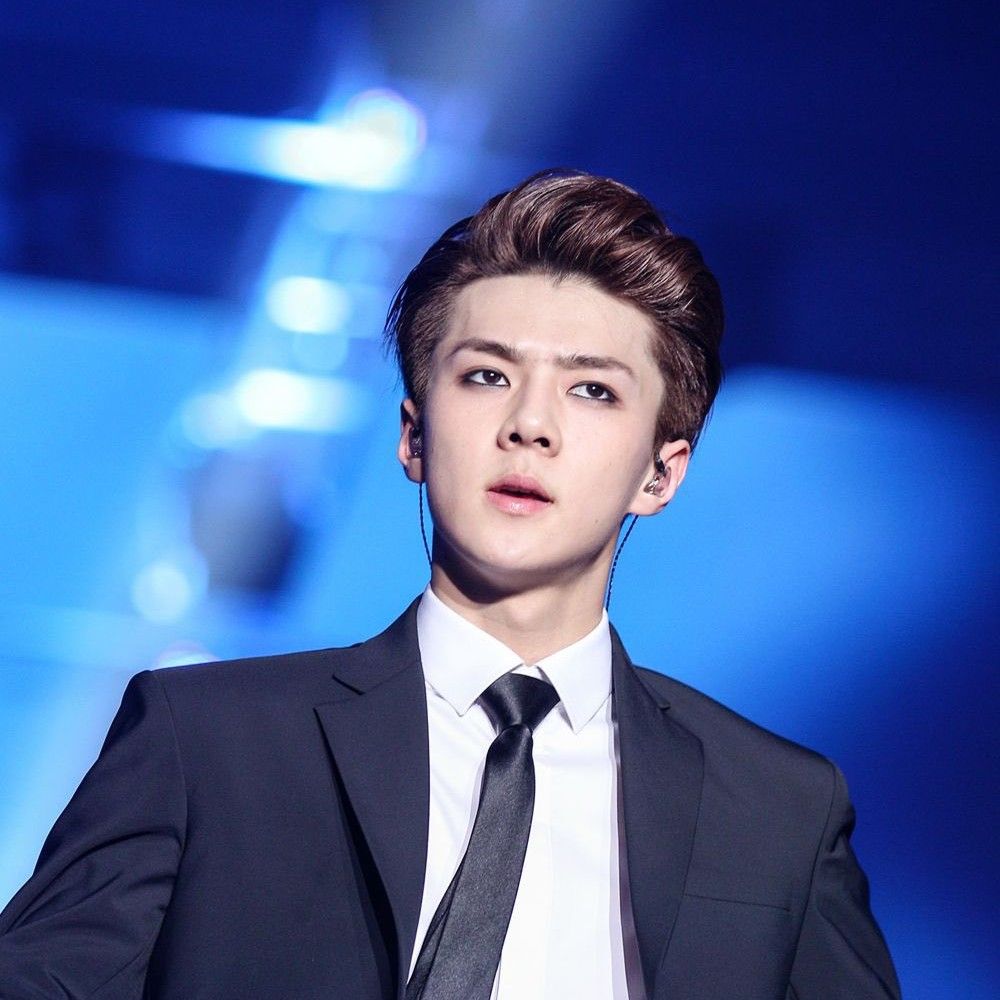 세훈 (EXO) 최근 활동샷