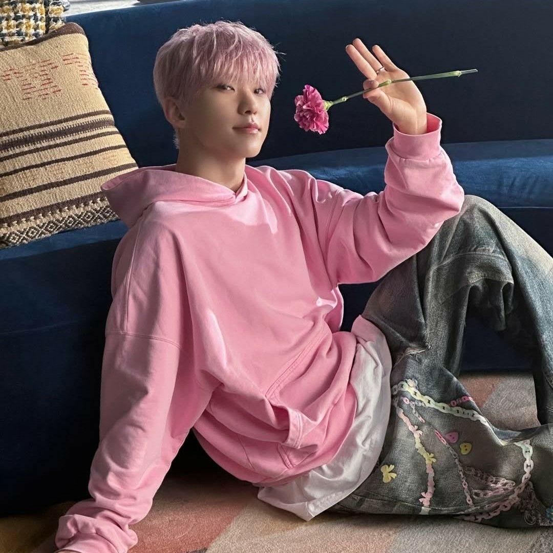 A moment captured by Hoshi (SEVENTEEN)'s fan
