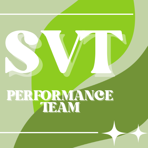 A moment captured by Dino (SEVENTEEN)'s fan