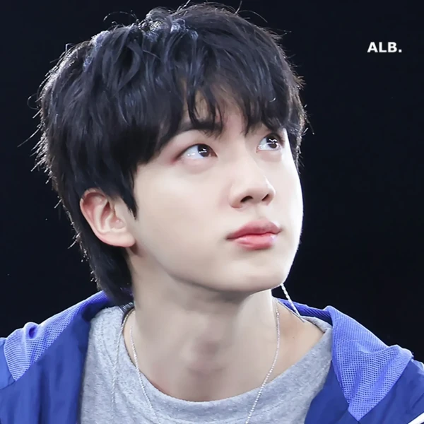 Signature photo of Jin (BTS) capturing their charm