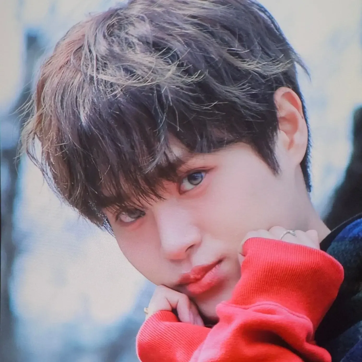 李大辉 (AB6IX)的最新活动照片