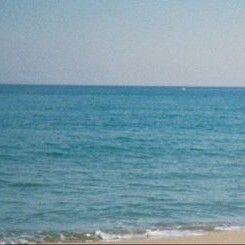 Latest photo of Board