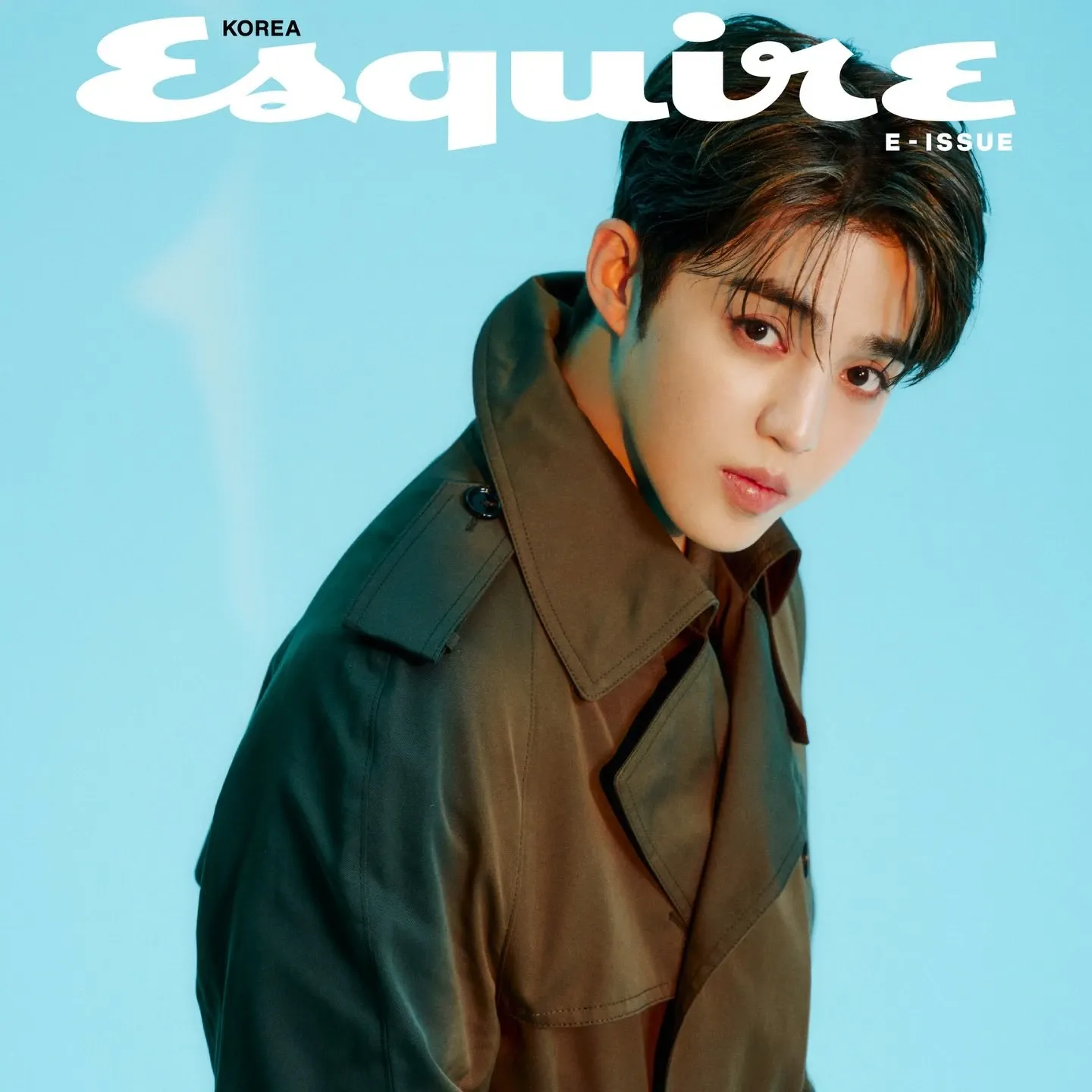 세븐틴 팬이 찍은 순간