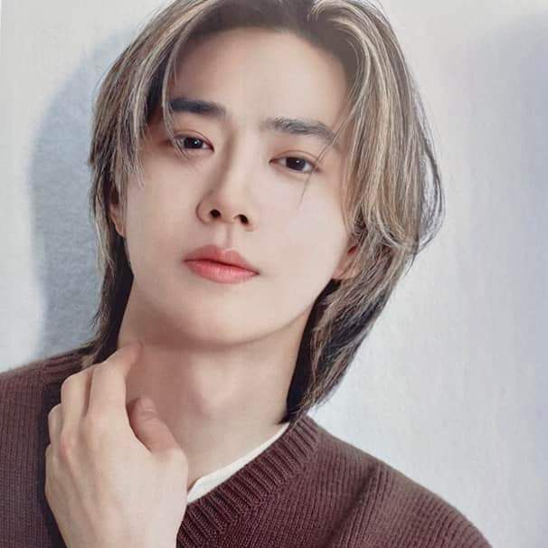 Recent activity shot of EXO