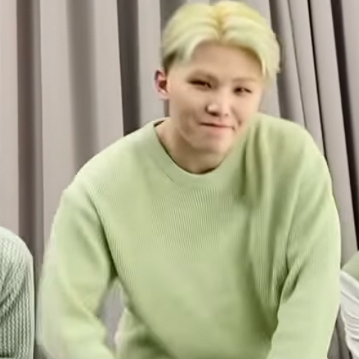 Woozi (SEVENTEEN)粉絲拍下的瞬間