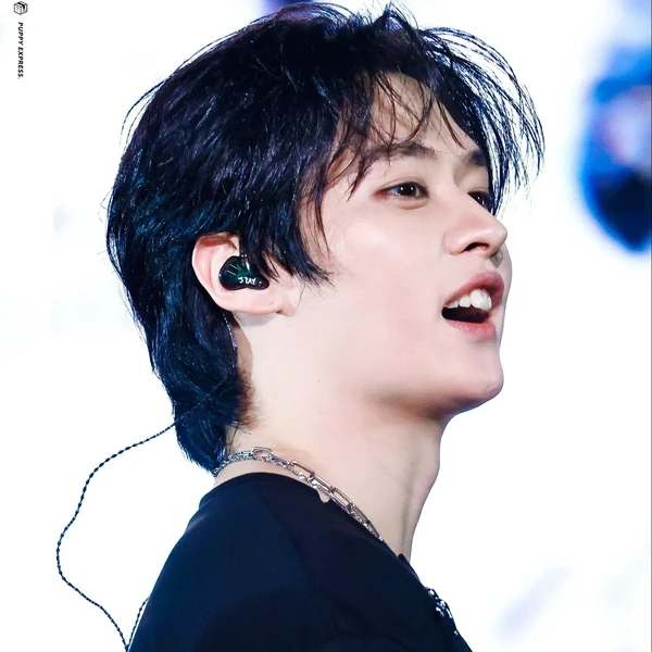 Foto perwakilan Lee Know (Stray Kids) yang penuh pesona