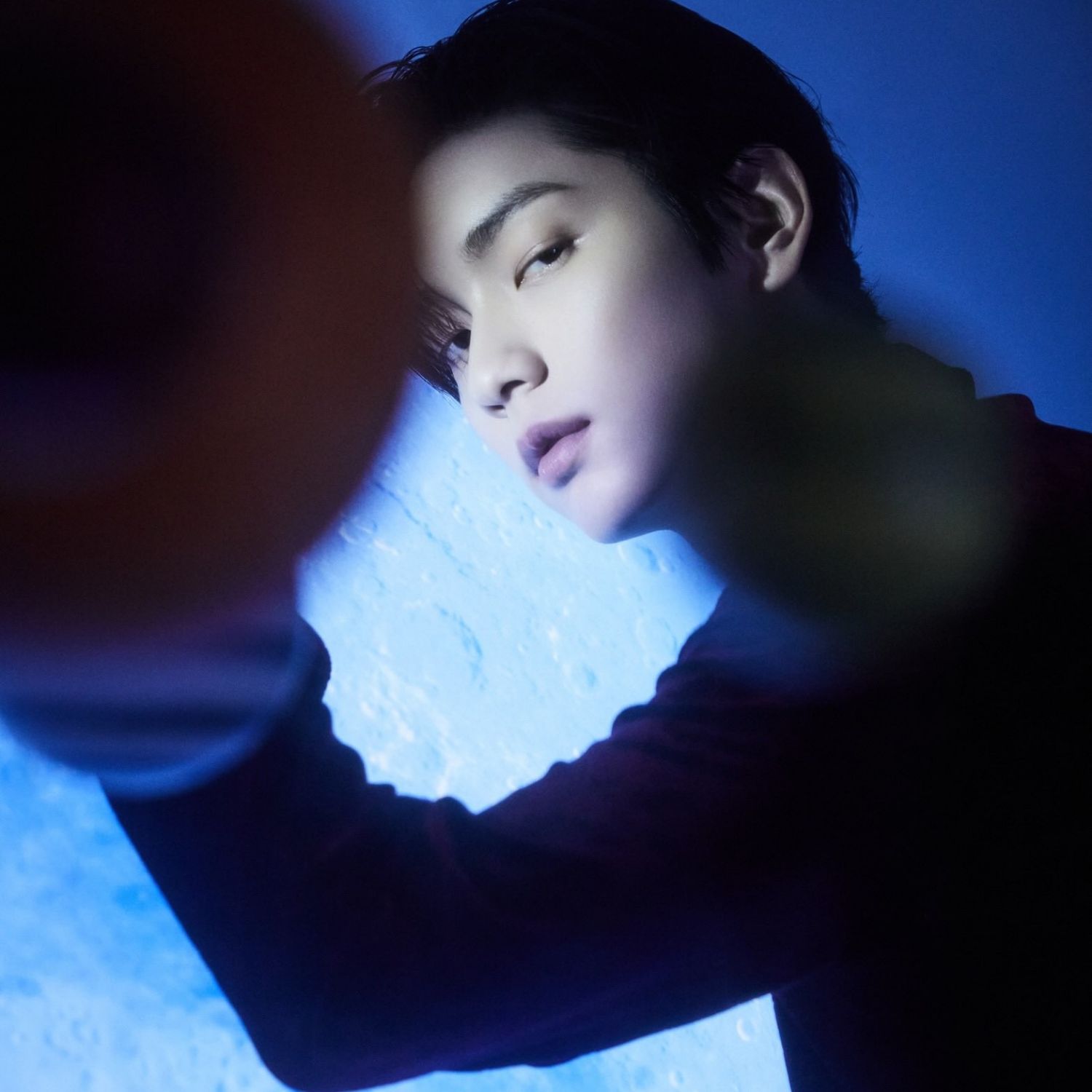 투모로우바이투게더 팬이 찍은 순간