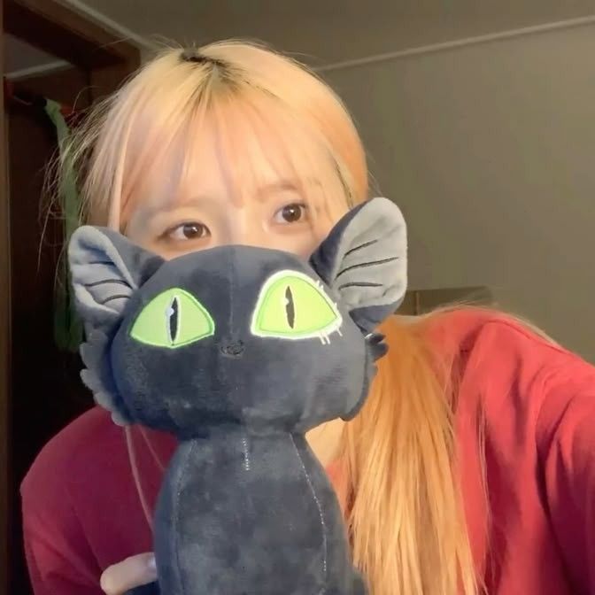 宋河英 (fromis_9)粉丝拍下的瞬间