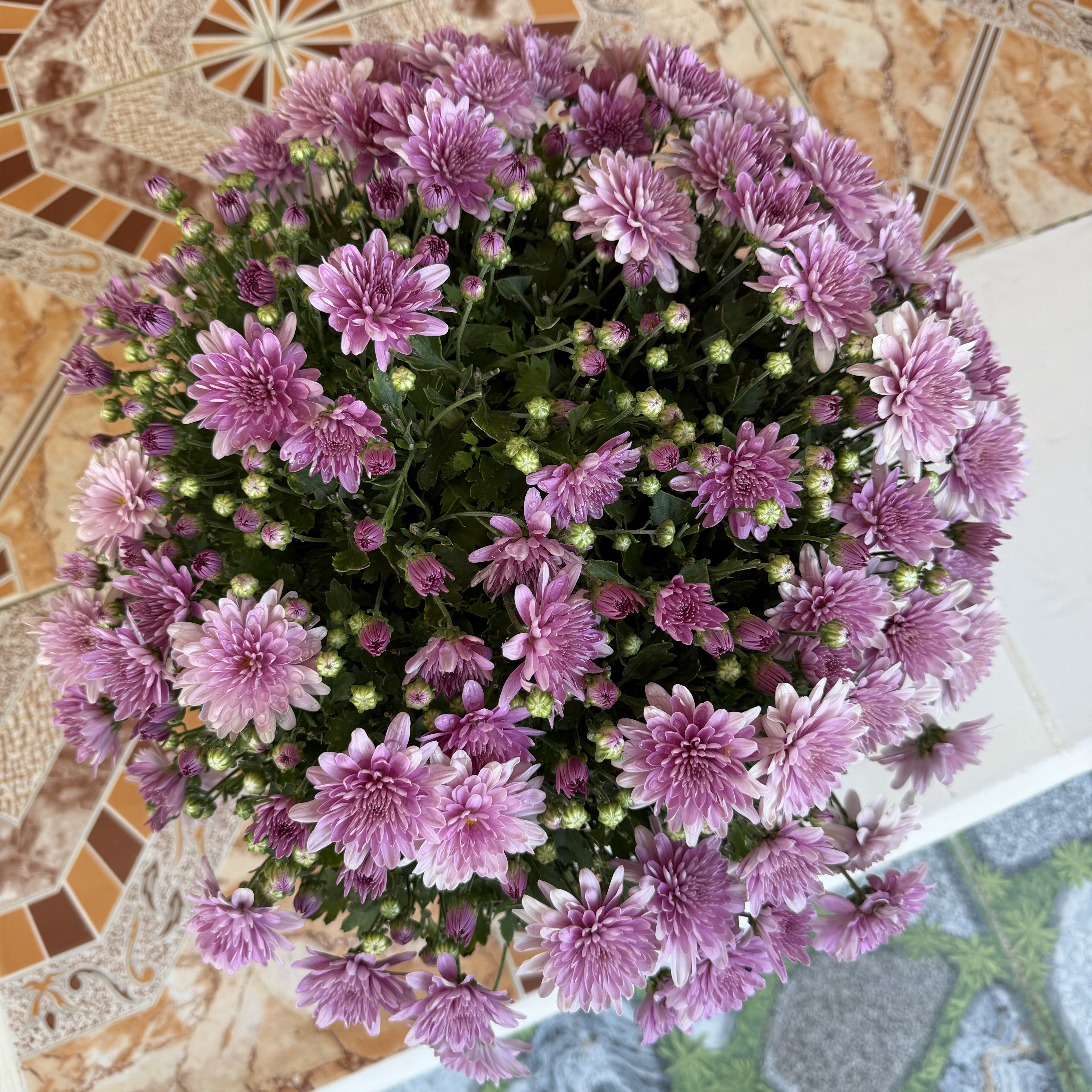 Behind-the-scenes cut of Moonbin (ASTRO)