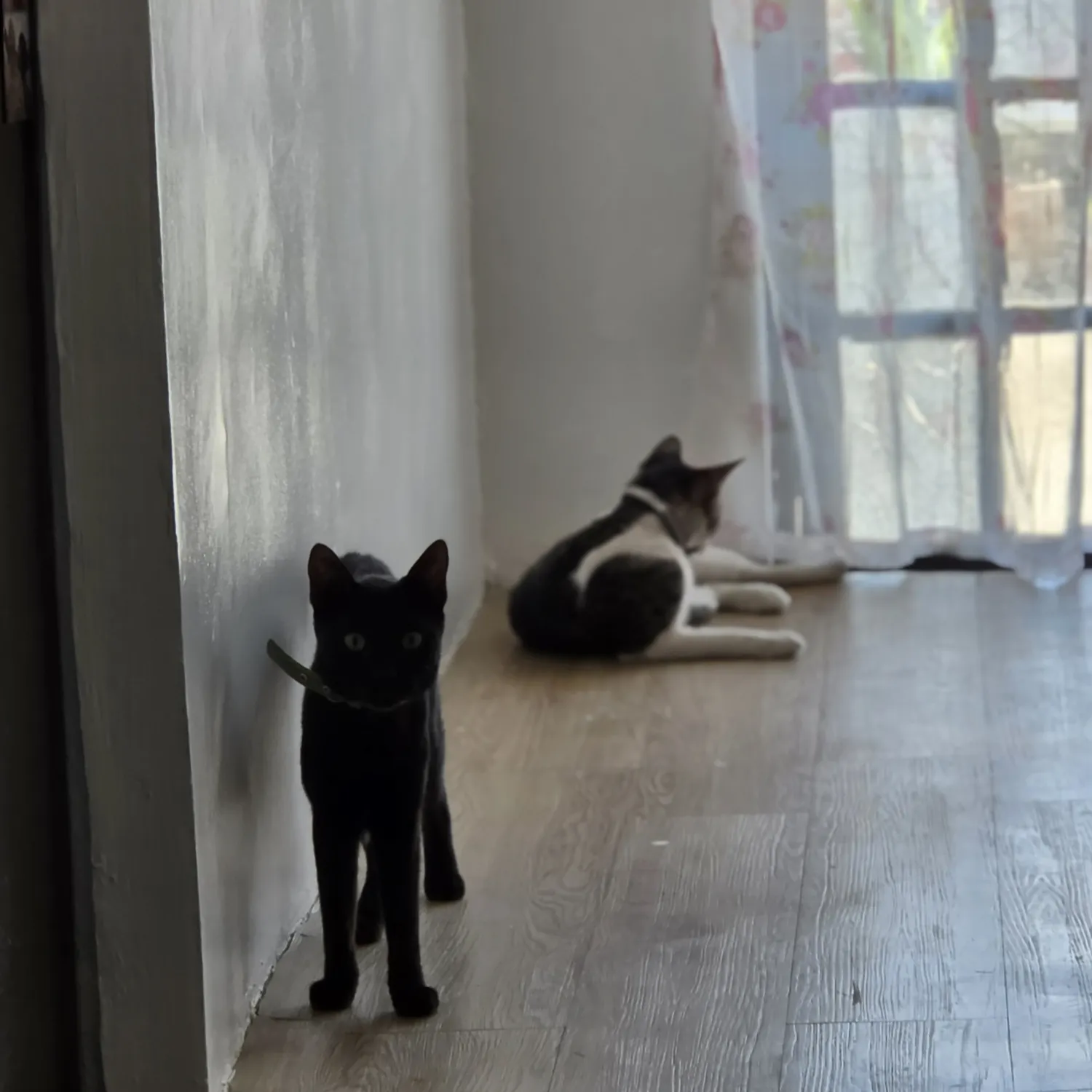 세븐틴 최근 활동샷