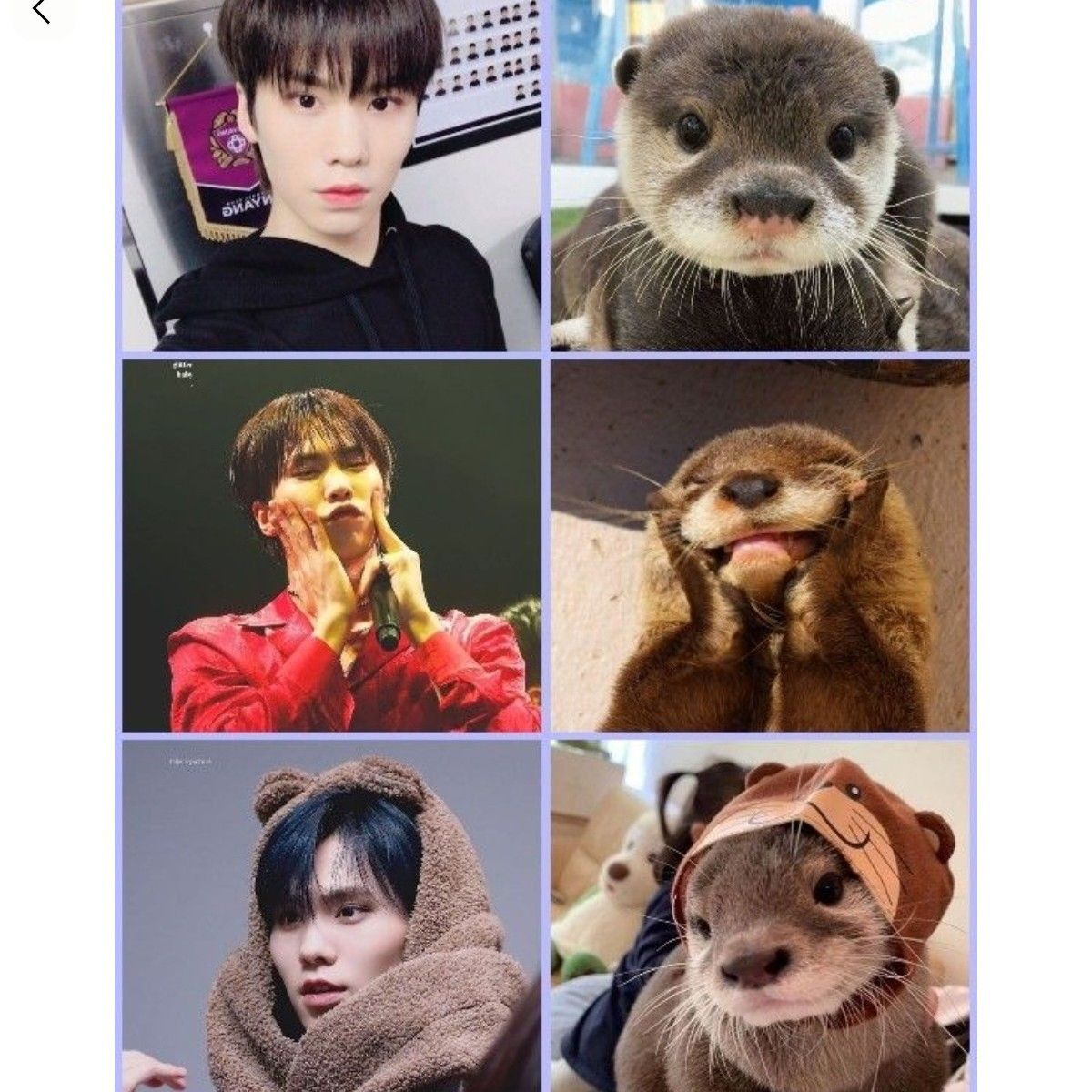 Recent activity shot of Rocky