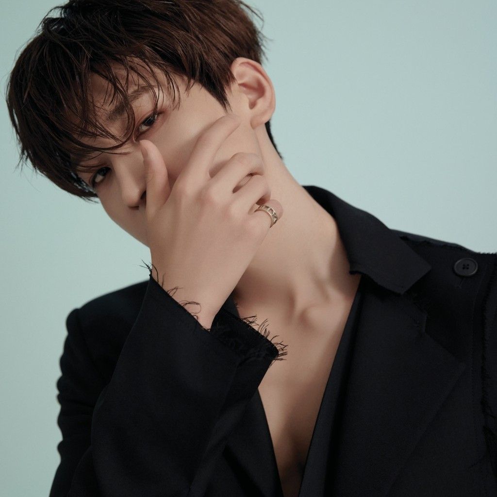 원우 (세븐틴) 팬이 찍은 순간