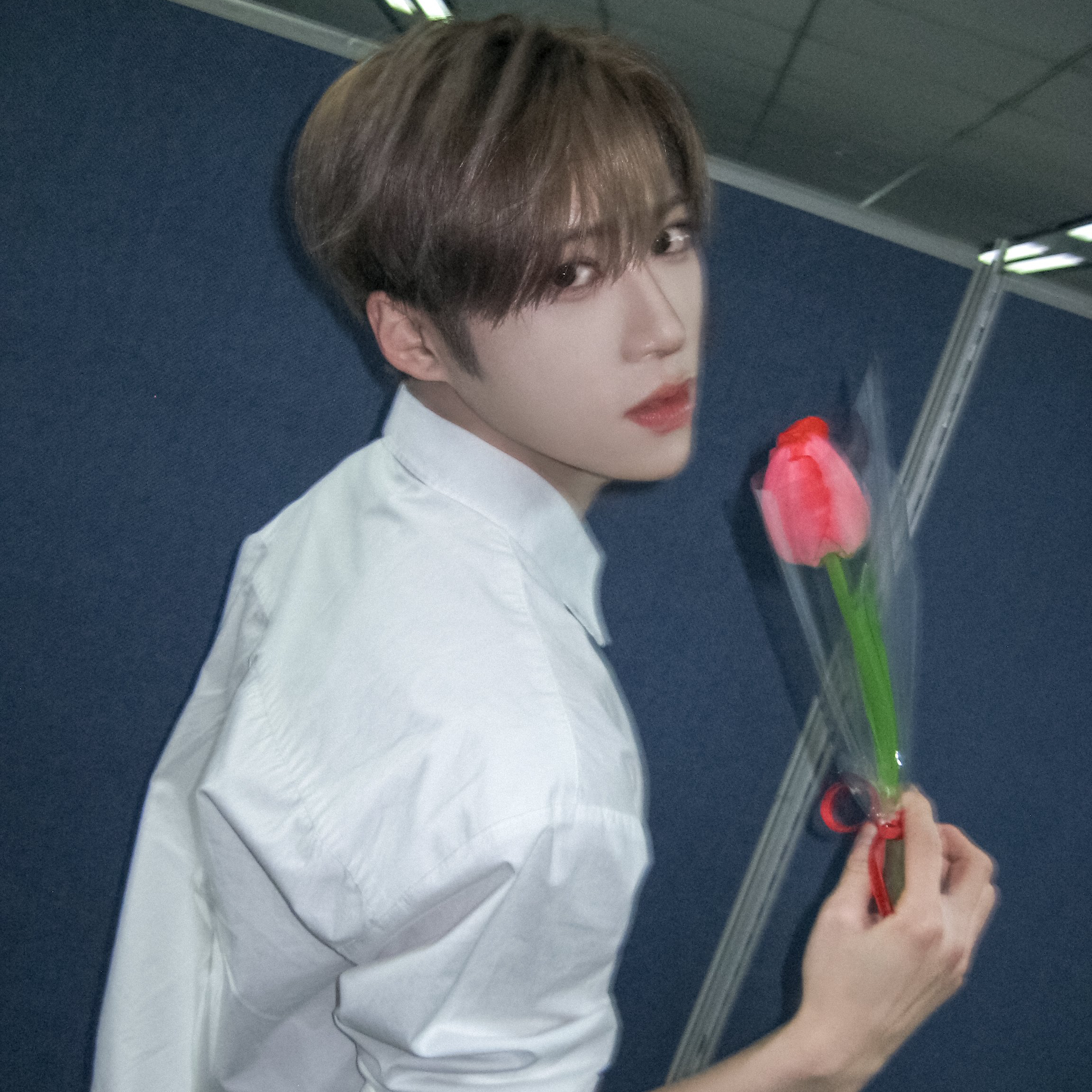 Recent activity shot of Arno (ALPHA DRIVE ONE)