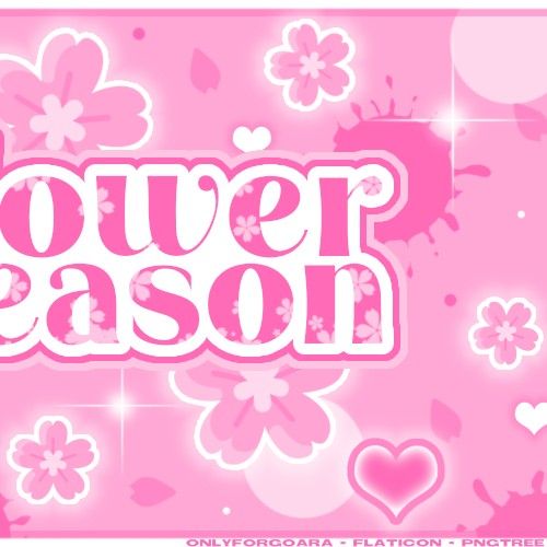 Latest photo of Ella (MEOVV)