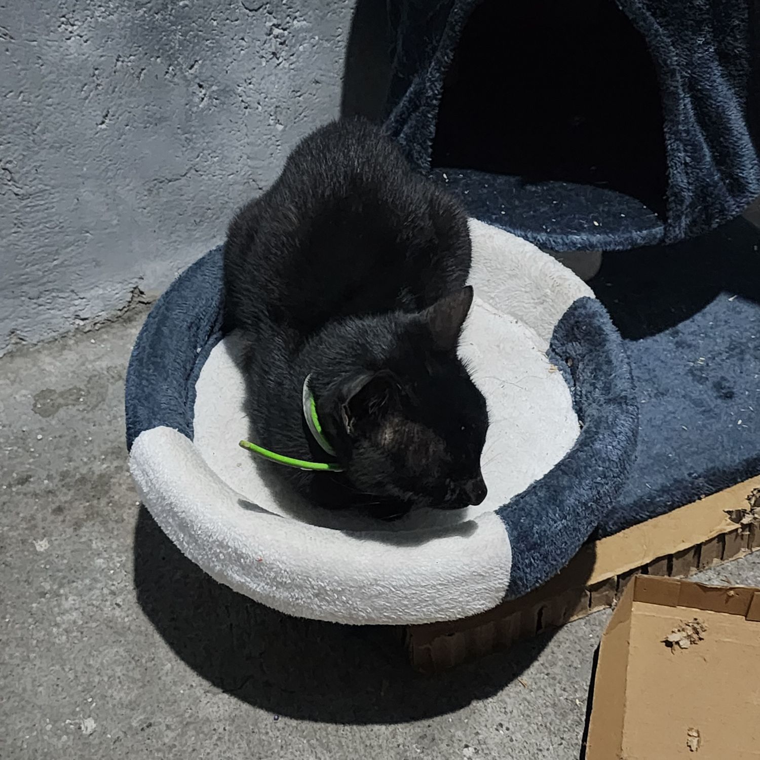 SEVENTEEN的最新照片