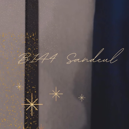 Momen yang diabadikan oleh penggemar Sandeul (B1A4)