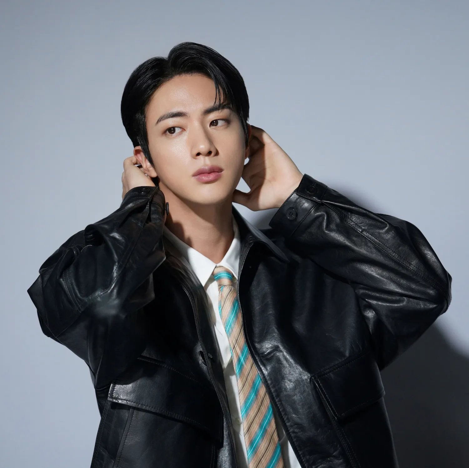 진 (방탄소년단) 팬이 찍은 순간