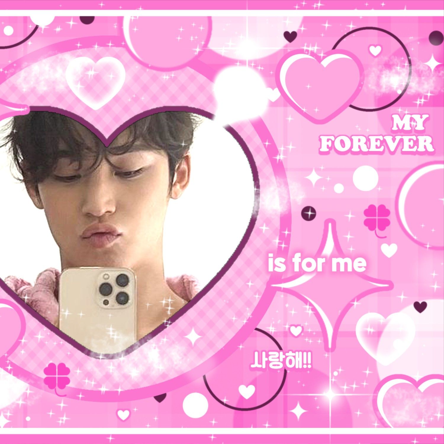 세븐틴 팬이 찍은 순간