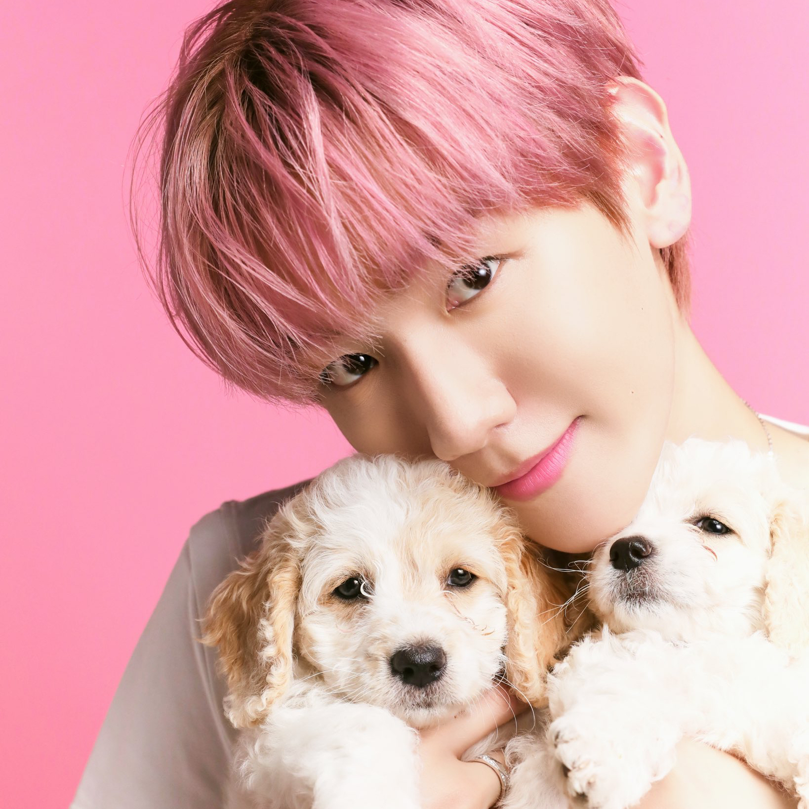 백현 (EXO) 팬이 찍은 순간