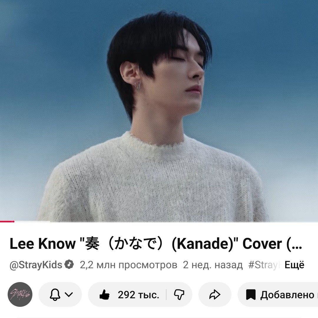 Stray Kids 팬이 찍은 순간