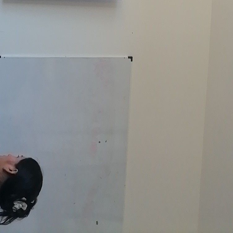 EXO 팬이 찍은 순간