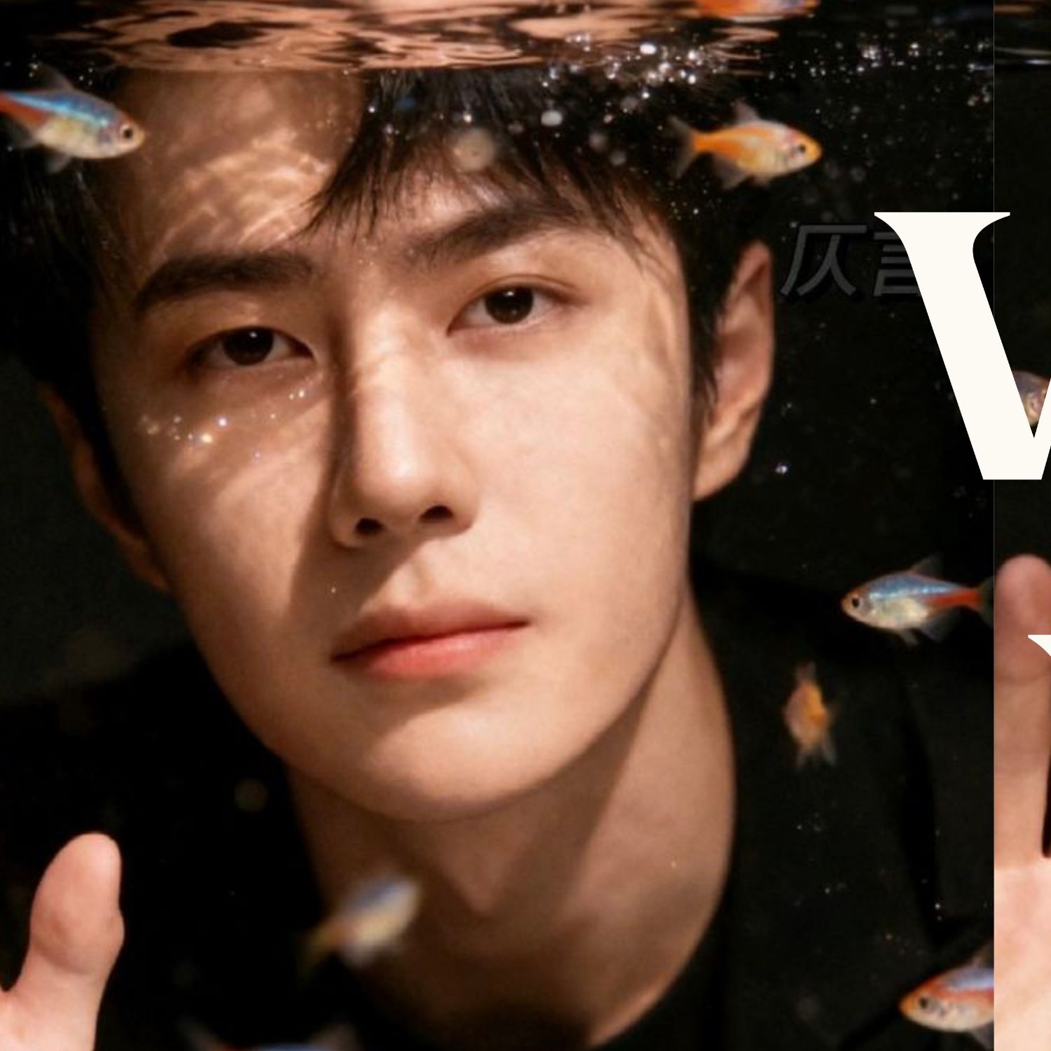 A moment captured by Wang Yibo's fan