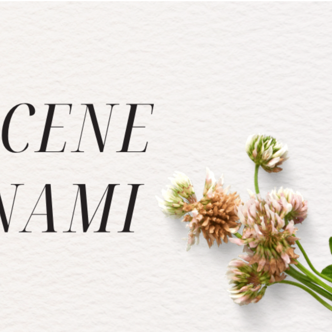 Behind-the-scenes cut of Minami (RESCENE)