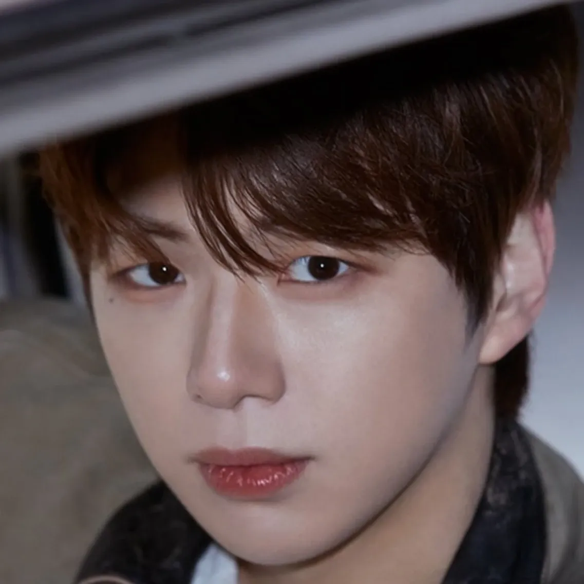 강다니엘 최근 활동샷