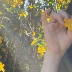 채령 (ITZY)의 최신 사진