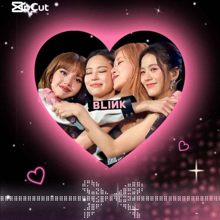 BLACKPINK 팬이 찍은 순간