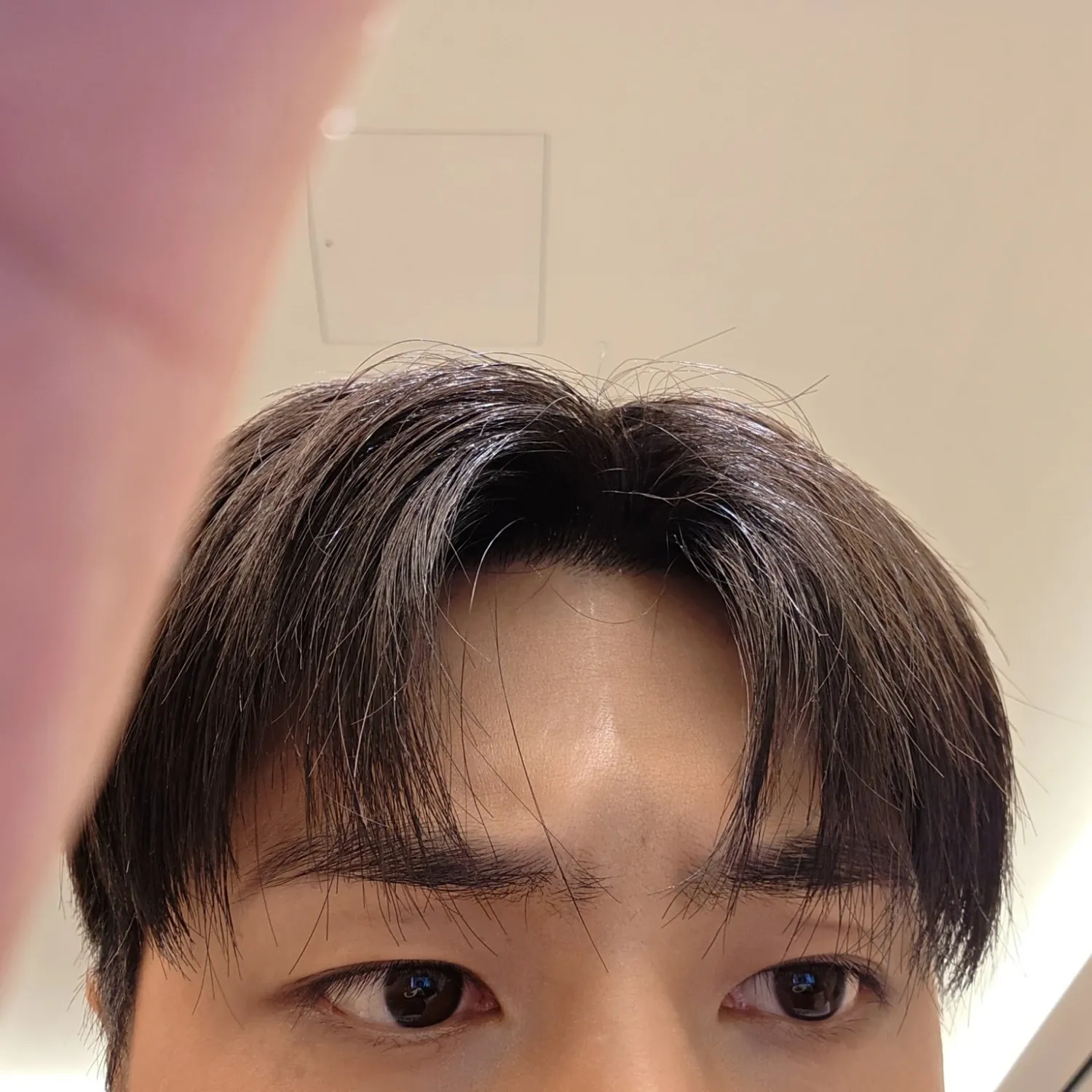 ENHYPEN 최근 활동샷