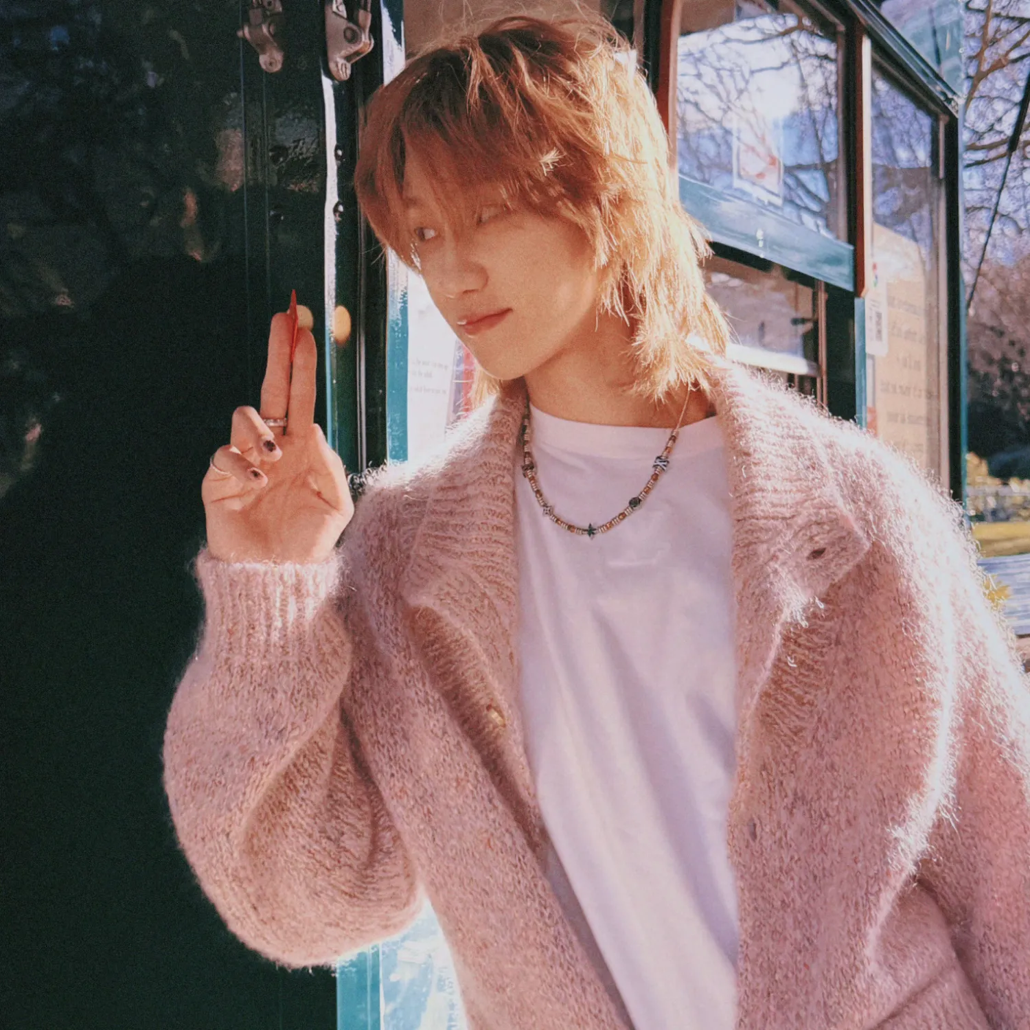 디에잇 (세븐틴) 팬이 찍은 순간