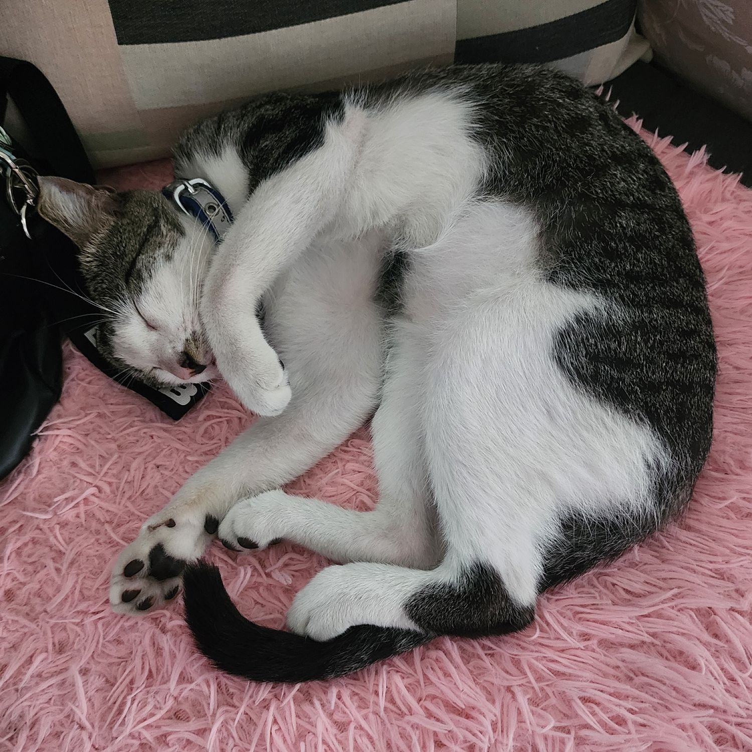 Latest photo of SEVENTEEN