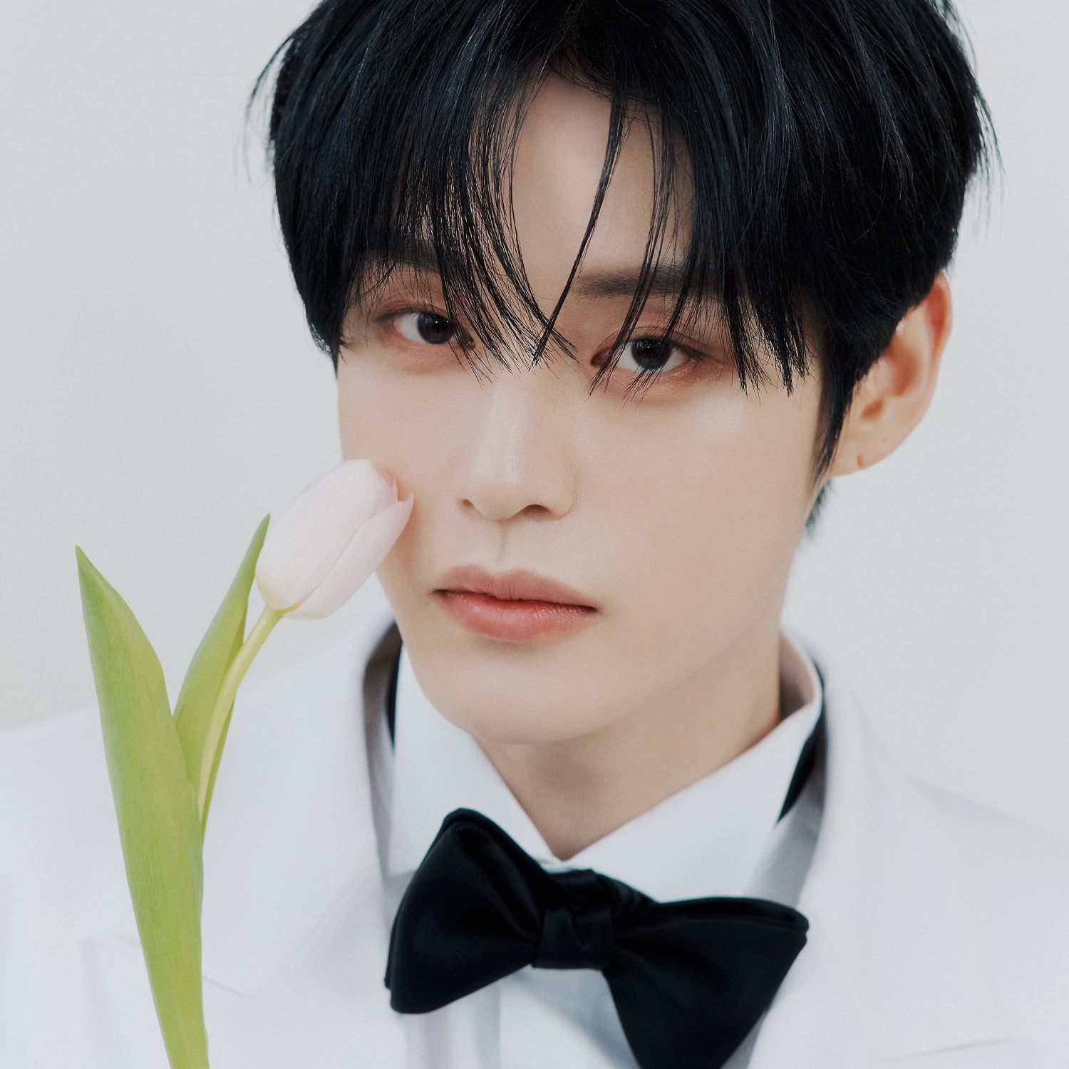 Latest photo of Kim Jiwoong (ZEROBASEONE)