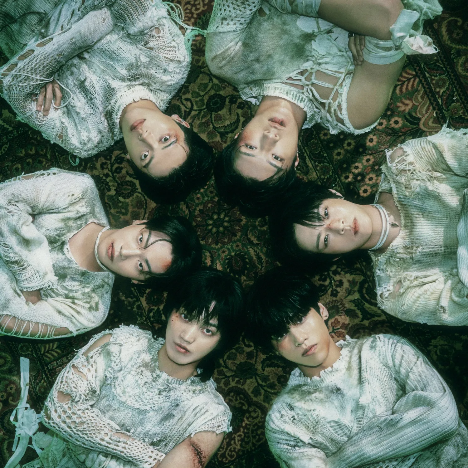 Recent activity shot of ONF