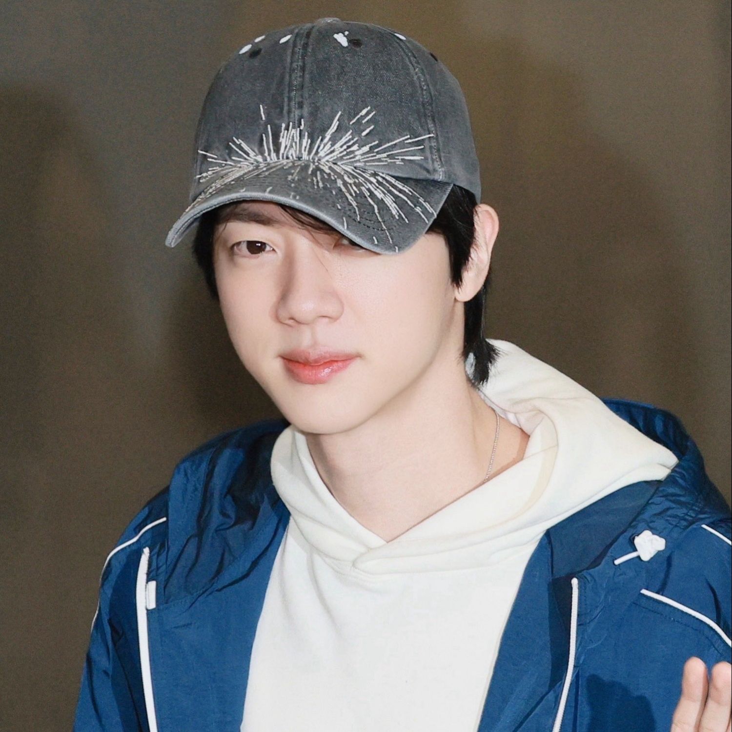 진 (방탄소년단) 팬이 찍은 순간