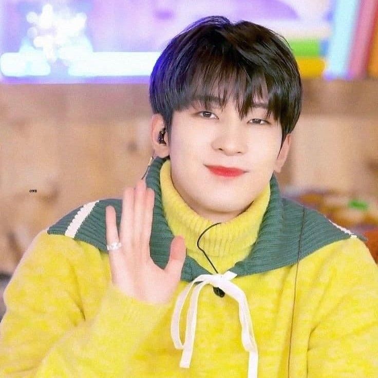 Recent activity shot of Wonwoo (SEVENTEEN)