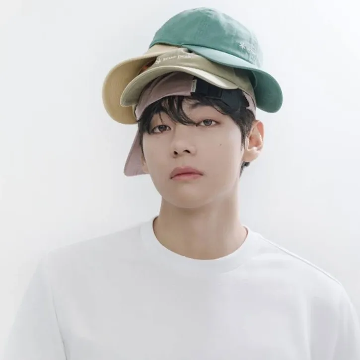 Momen yang diabadikan oleh penggemar V (BTS)