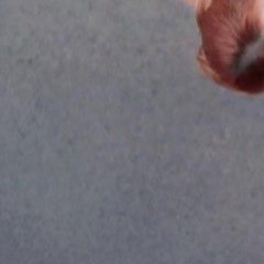 TWICE 최근 활동샷