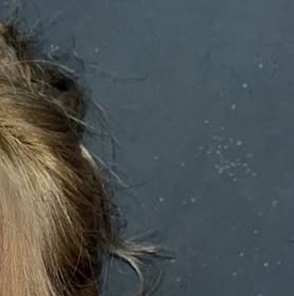 A moment captured by HaSeul (ARTMS)'s fan