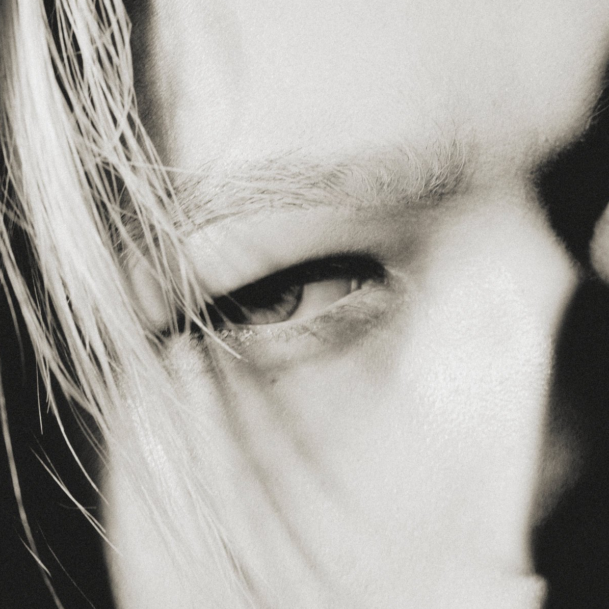 A moment captured by NI-KI (ENHYPEN)'s fan