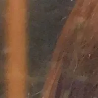 金佳蓝的幕后花絮